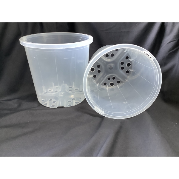 125MM X 100MM - PHALAENOPSIS CLEAR - PACK OF 10 POTS