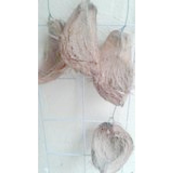 four coconut husk with wires