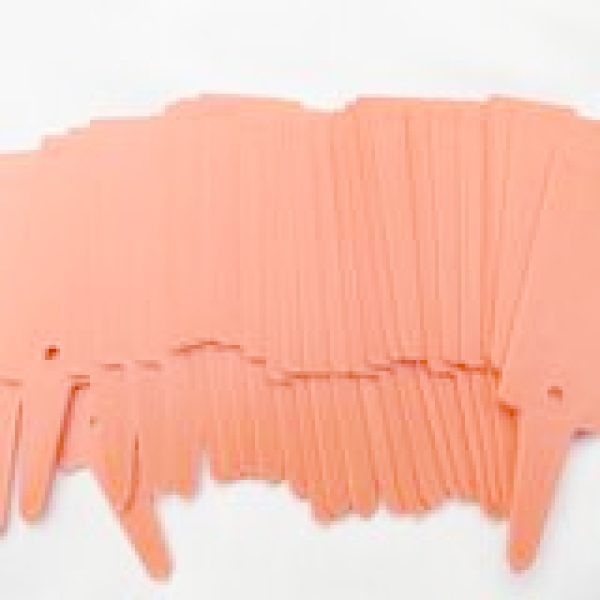 box of 1000 orange plastic t shaped labels