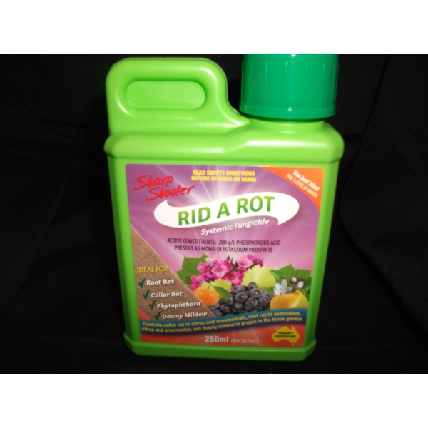 a small jug of rid and rot fungicide