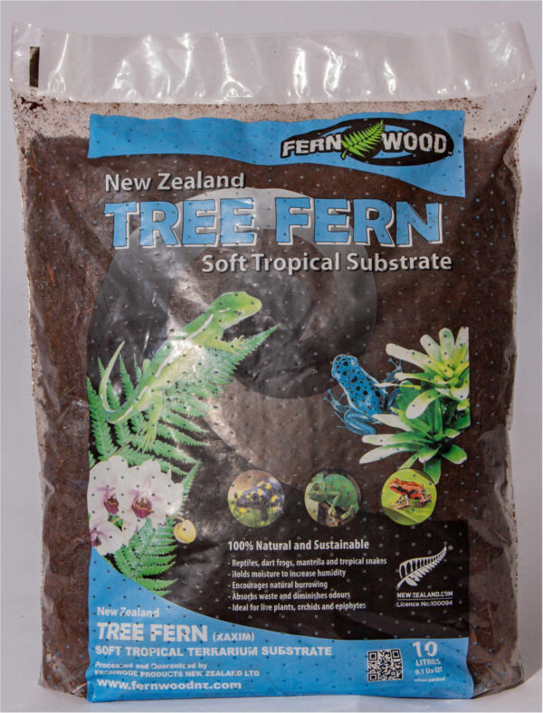 new zealand tree fern soft tropical substrate