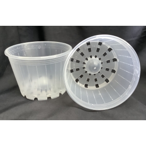 150MM X 100MM - PHALAENOPSIS CLEAR - PACK OF TEN