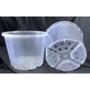200MM X 150MM - PHALAENOPSIS CLEAR - PACK OF 10 POTS